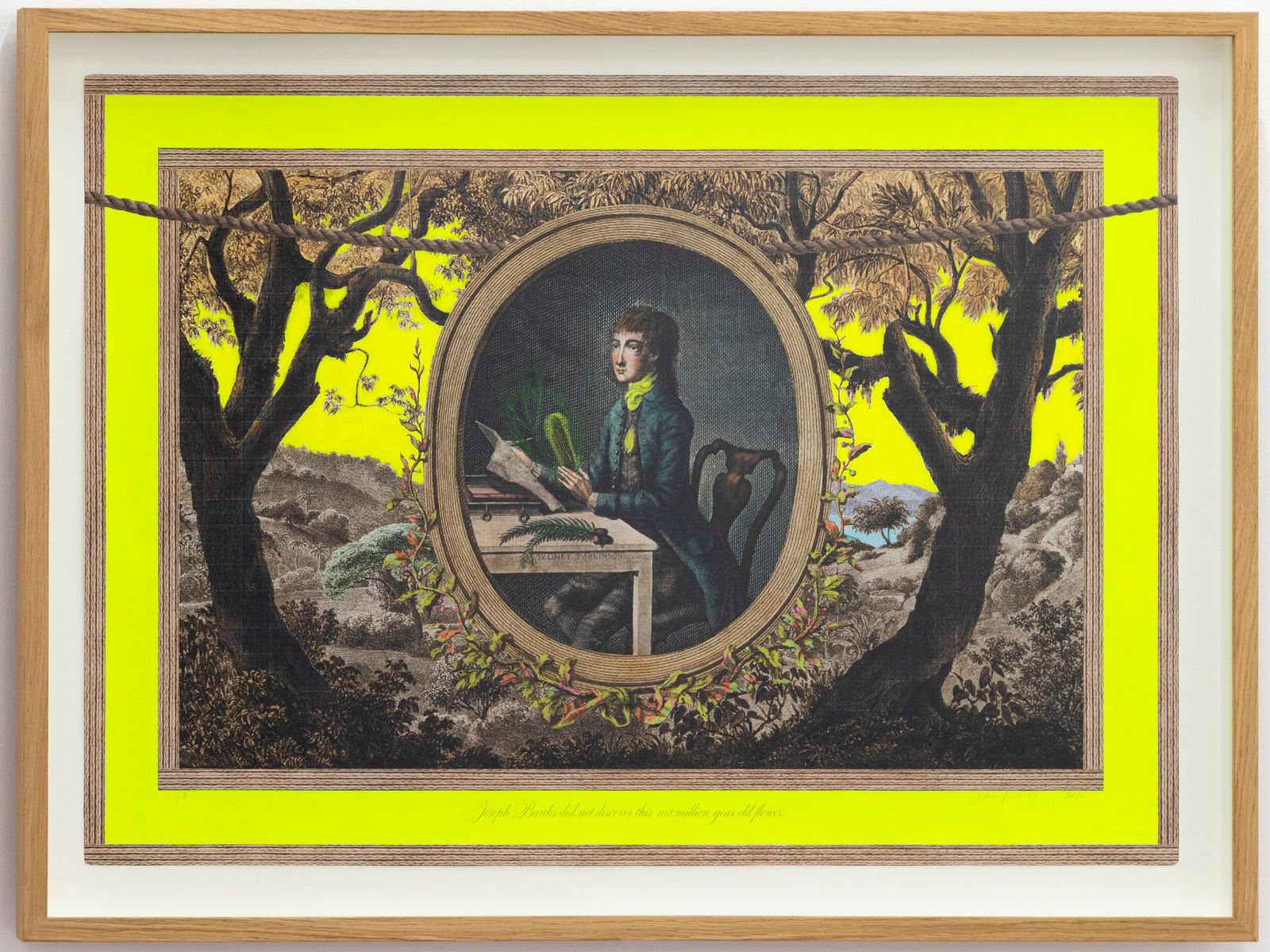 Joan Ross, Joseph Banks did not discover this 108 million year old flower, 2025