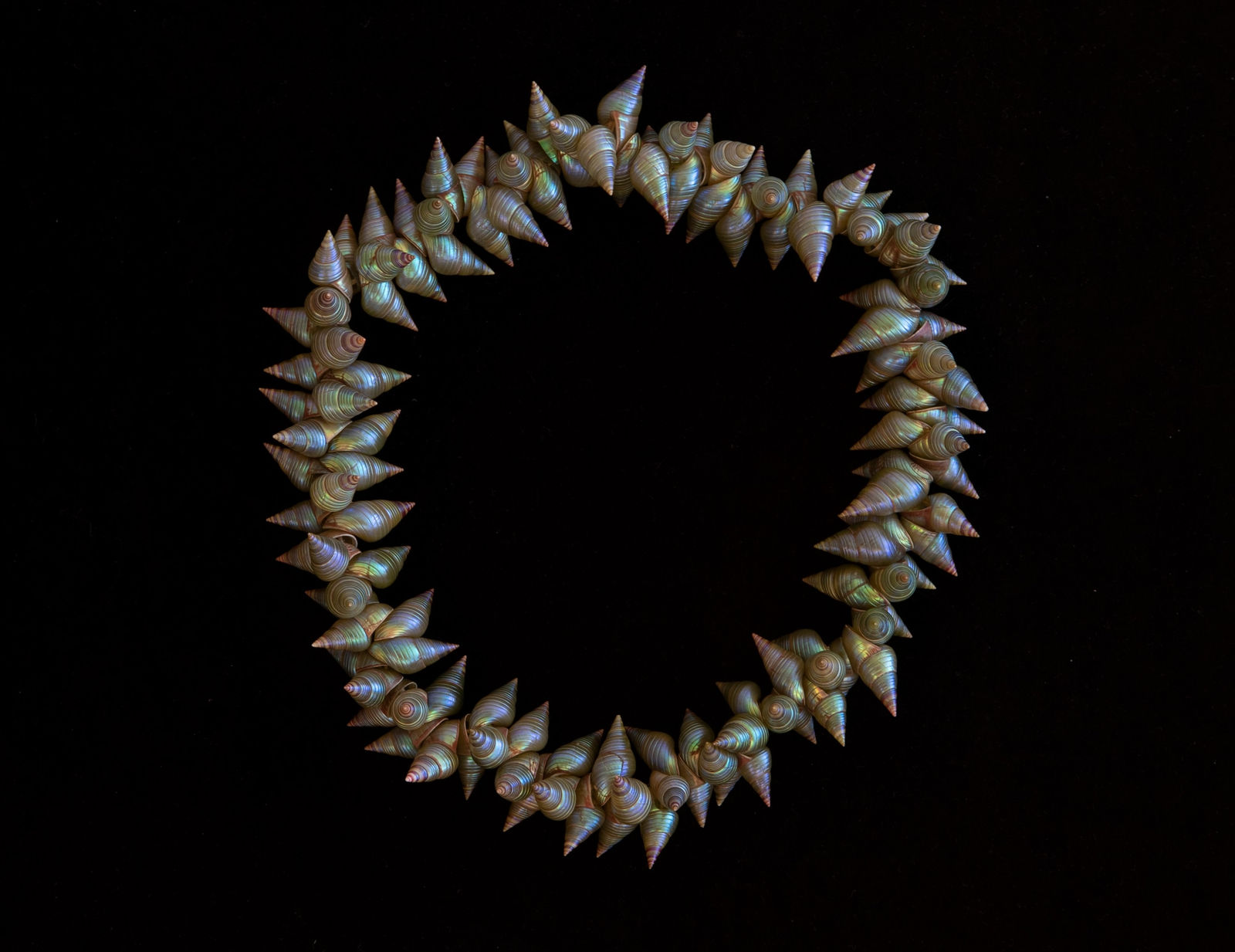 Ashlee Murray, pakana necklace, 2021