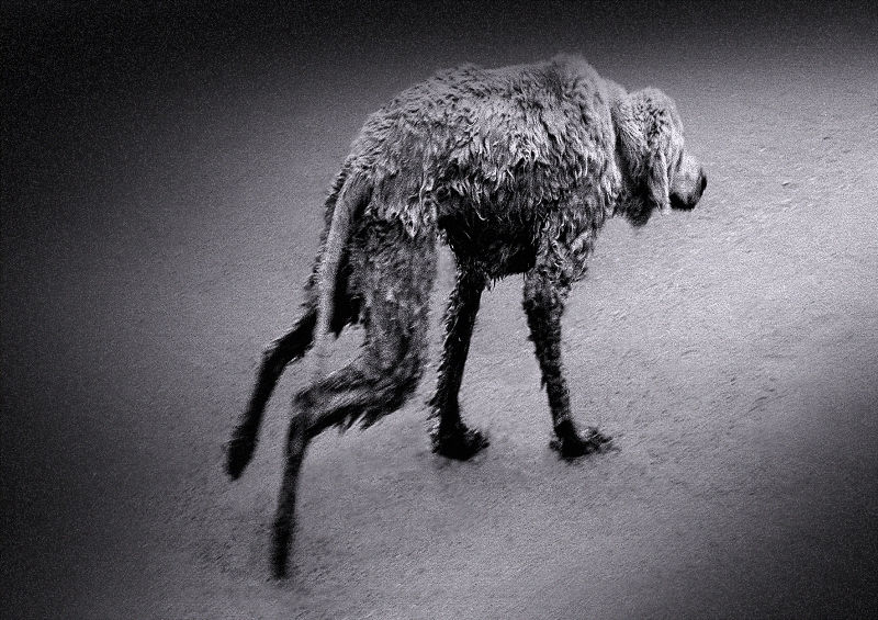 Pat Brassington, En Route, 2016