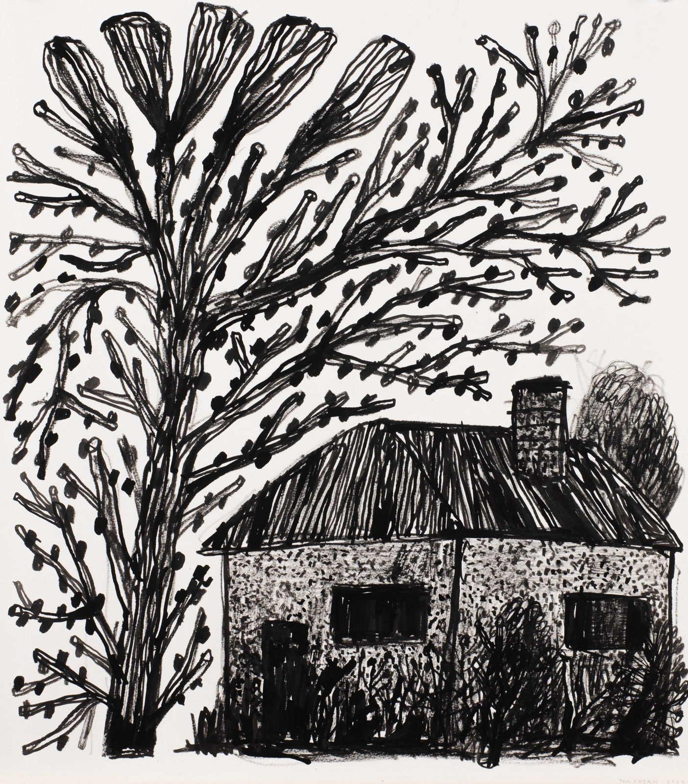 Tom O'Hern, House filled with sheep and a dead cow in the back yard, 2022