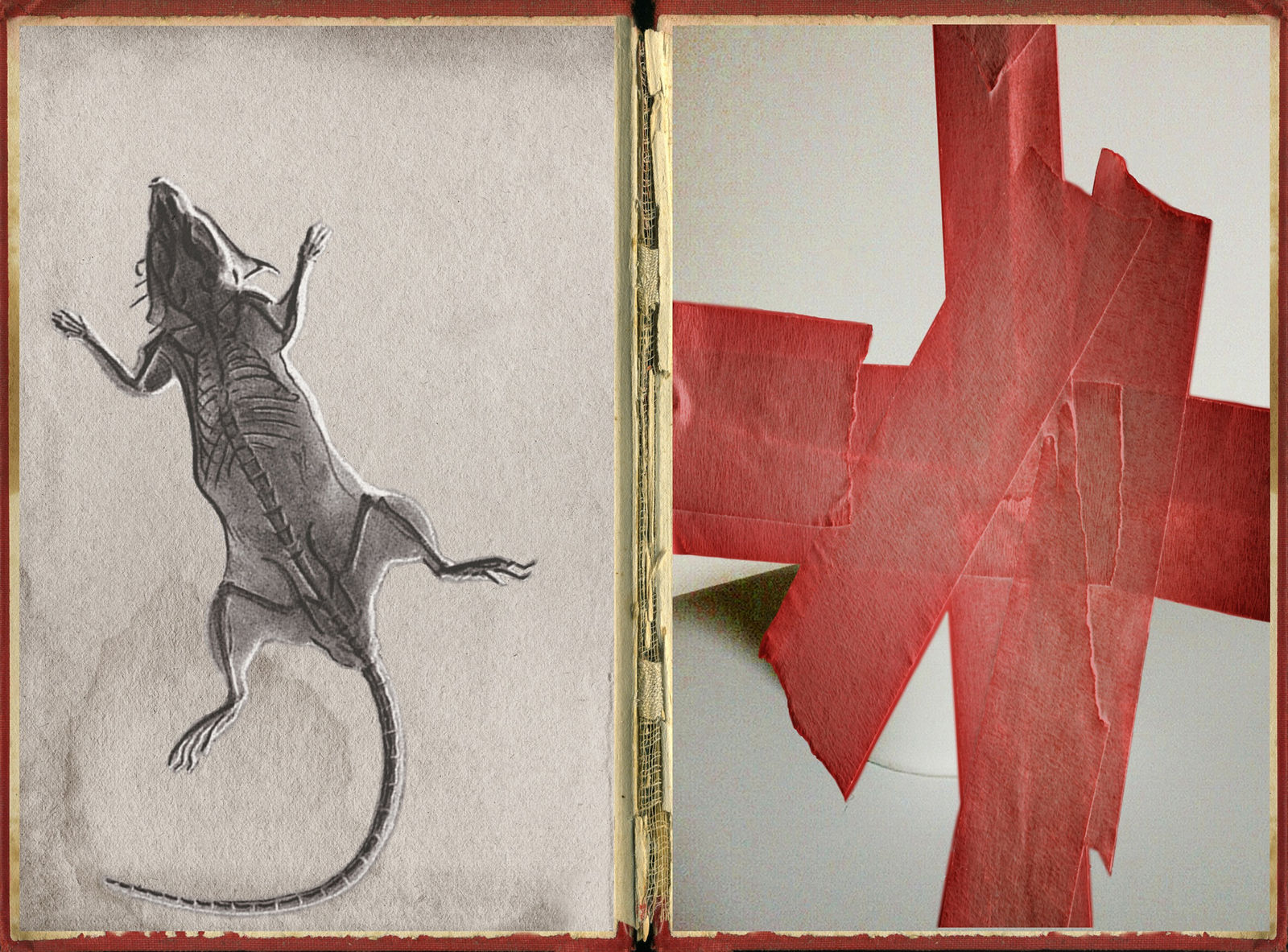 Pat Brassington, The Pressings #9, 2011