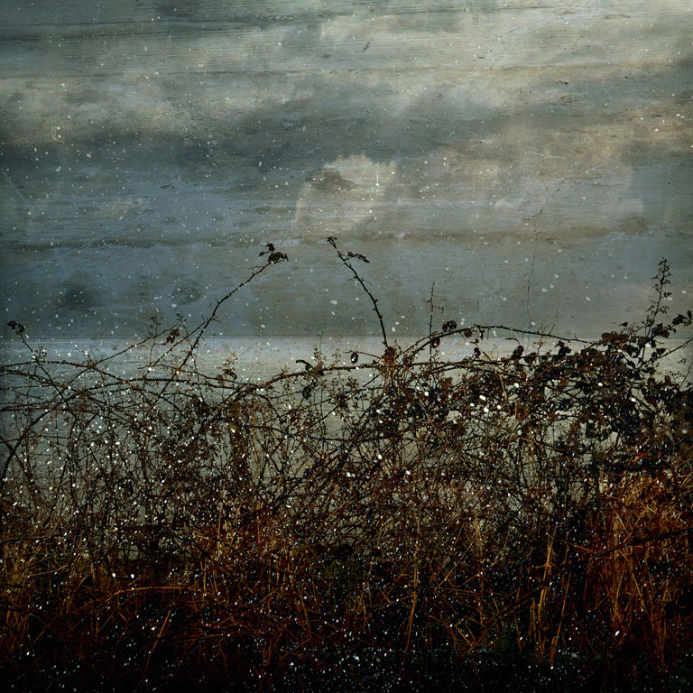 Troy Ruffels, Bramble, 2011