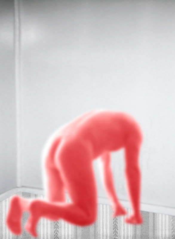 Pat Brassington, House Guest 1, 2007