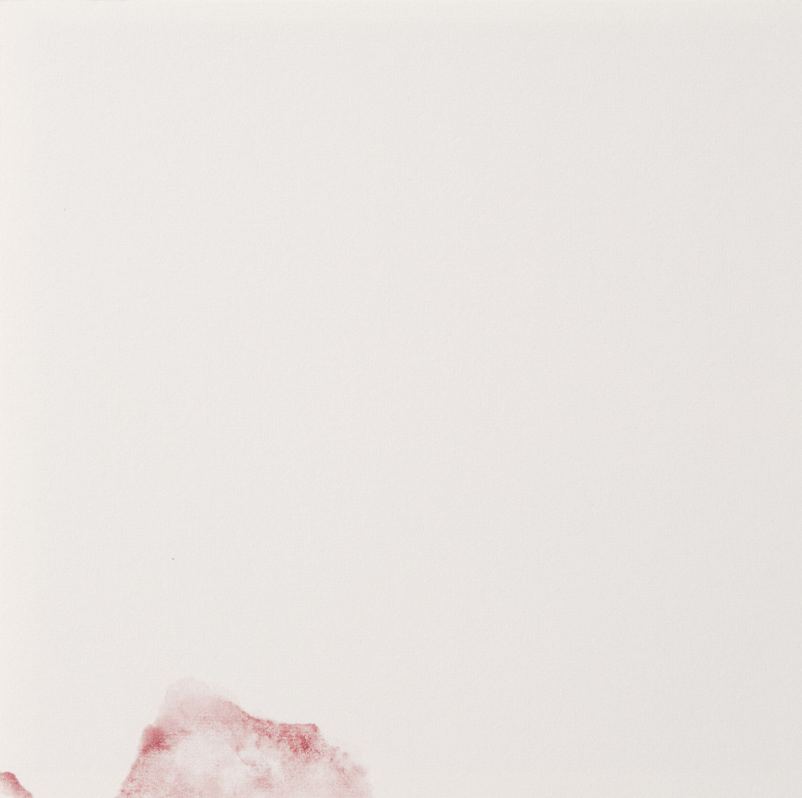 Sara Maher, Sweet Potato Pig (flying), 2022-2023