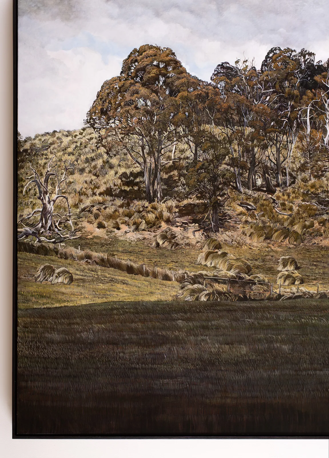 Stephanie Tabram, A hillside near Bothwell, 2026