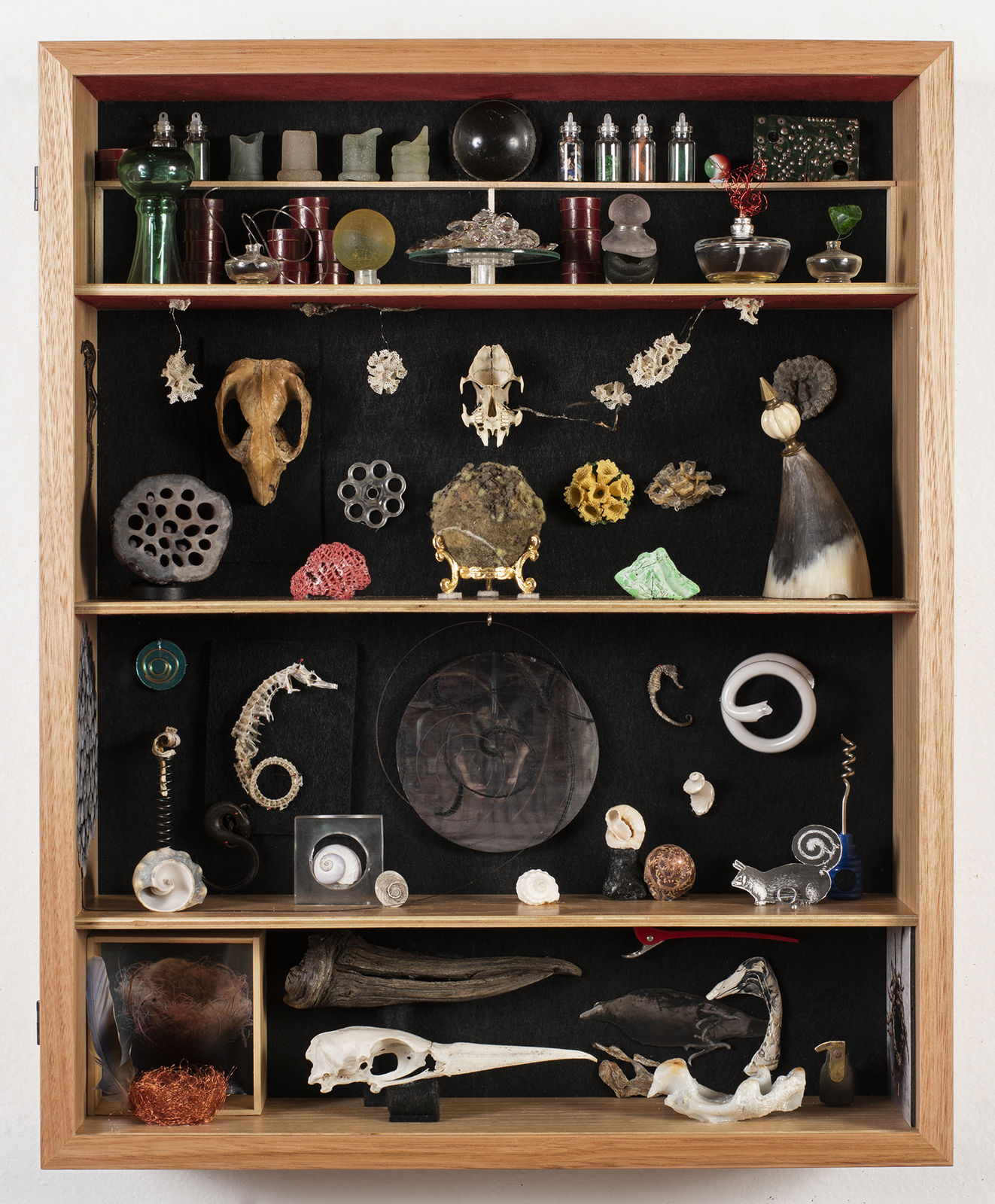 Irene Briant, Cabinet of Curiosities, 2021