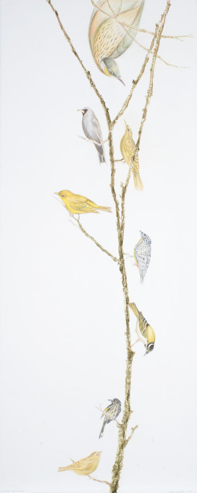 Helen Wright, Bird Business, 2019