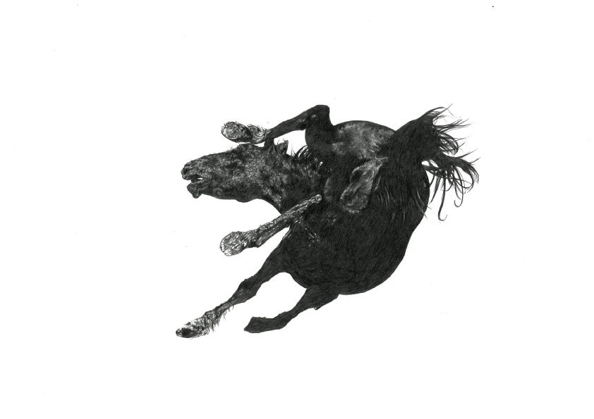 Lisa Iglesias, Horse I (After Louise Serpa), 2010