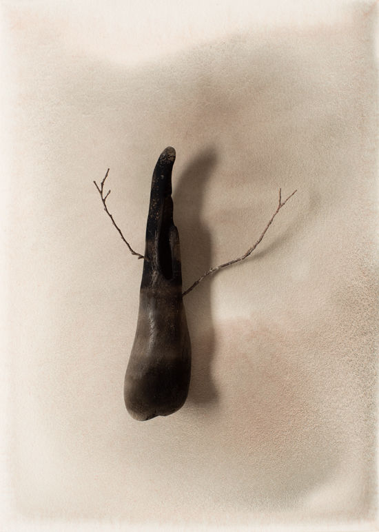 Sara Maher, In the hollows 1, 2016