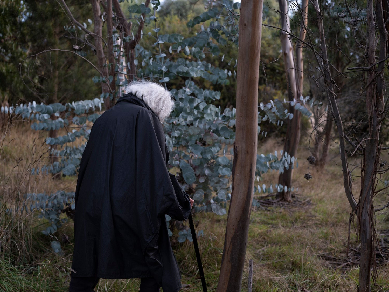 Sarah Rhodes, Robyn, 2021