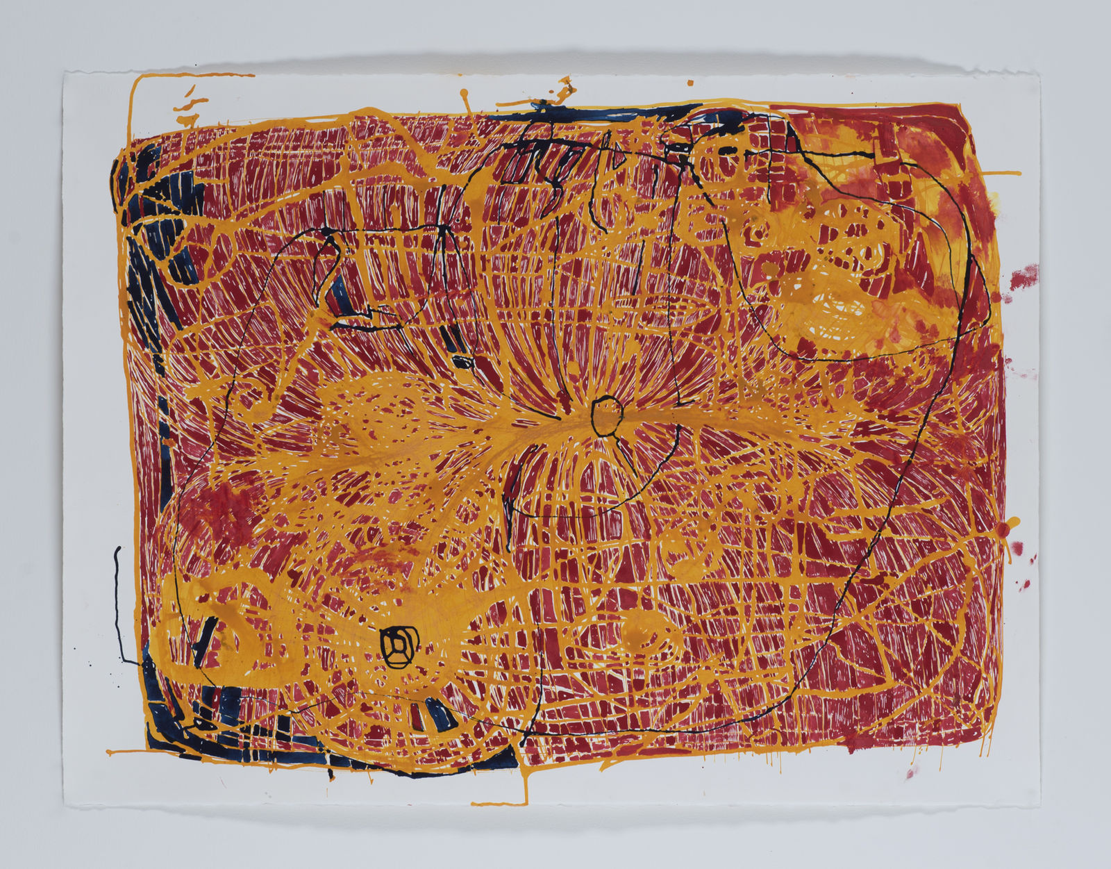 Locust Jones, Sardines and Supplements, 2019