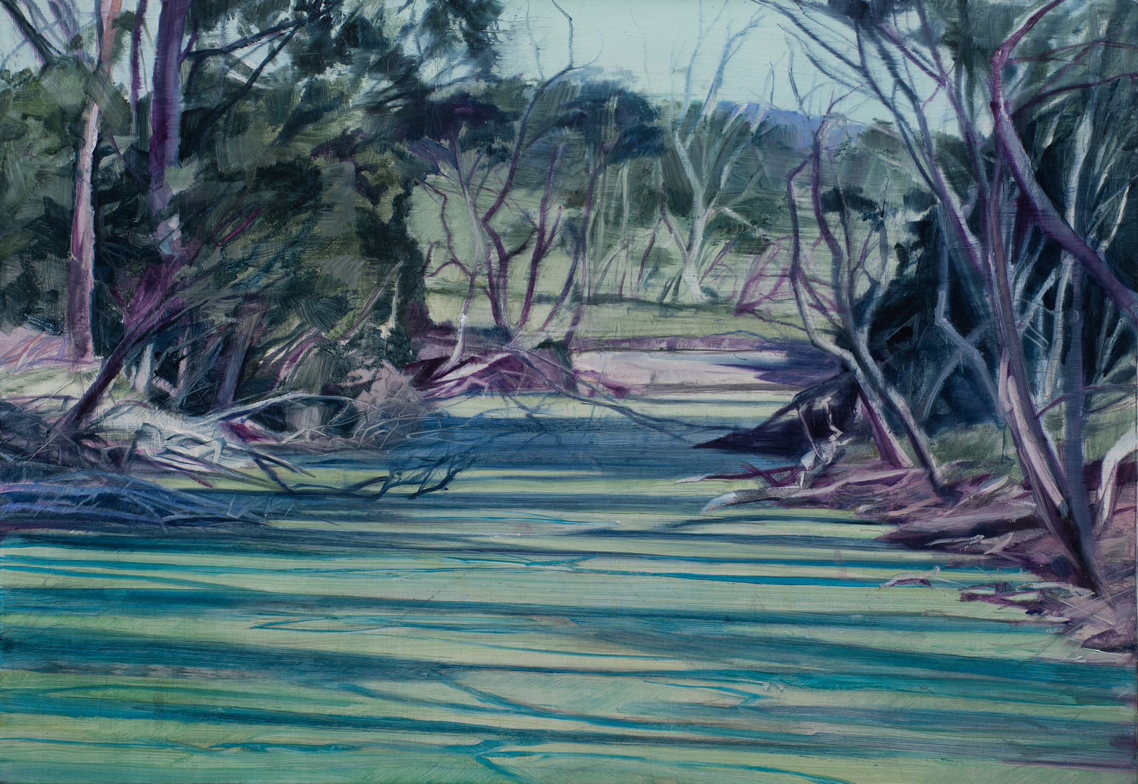 Nicholas Blowers, Pond algae, Bay of Fires, 2022