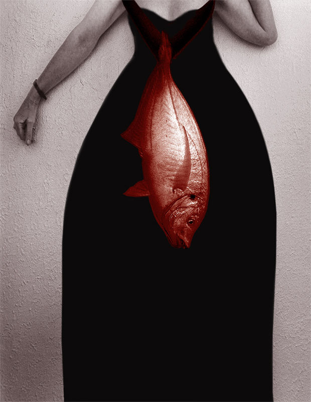 Pat Brassington, Trophies, 2010