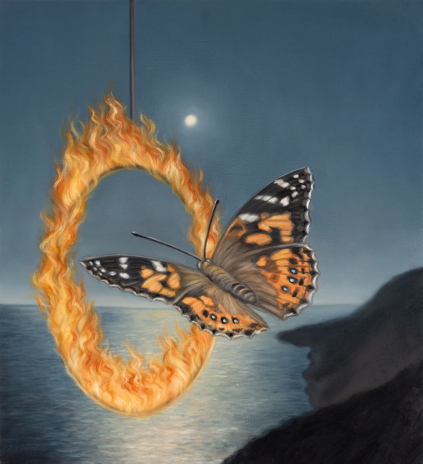 Amber Koroluk-Stephenson, Escape Artist, portrait of an Australian Painted Lady, 2023 - 2024