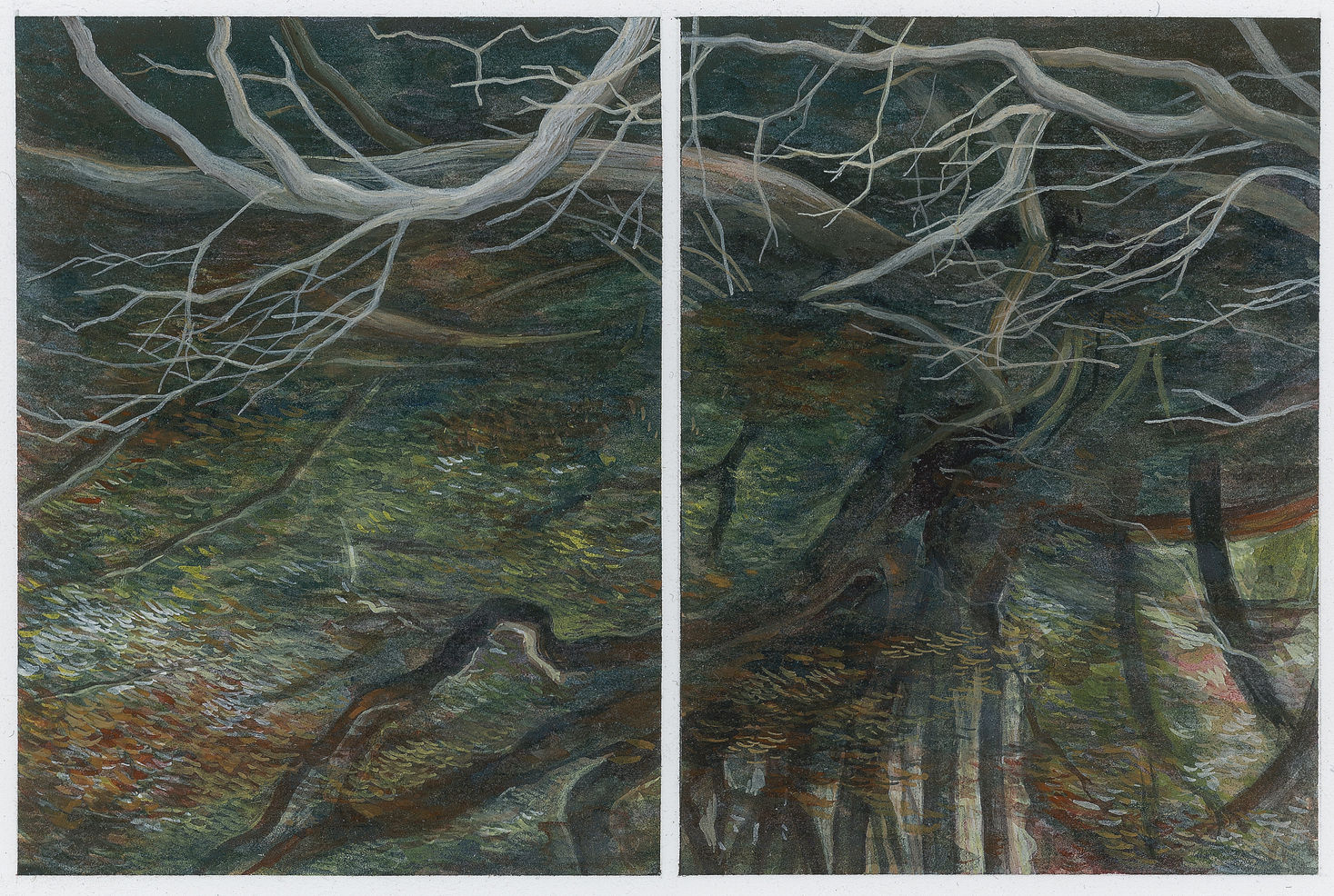 Sue Lovegrove, 11.8, 2020