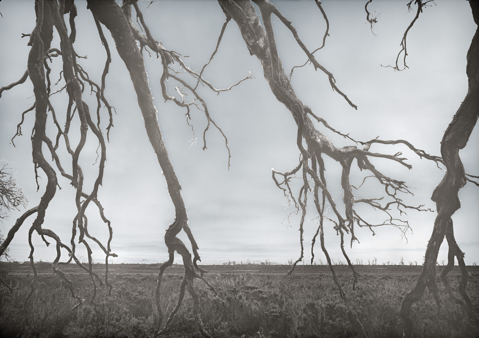 David Stephenson, 2021/31 Near yingina/Great Lake, 2021