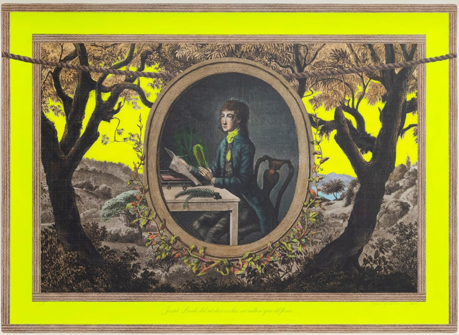 Joan Ross, Joseph Banks did not discover this 108 million year old flower, 2025