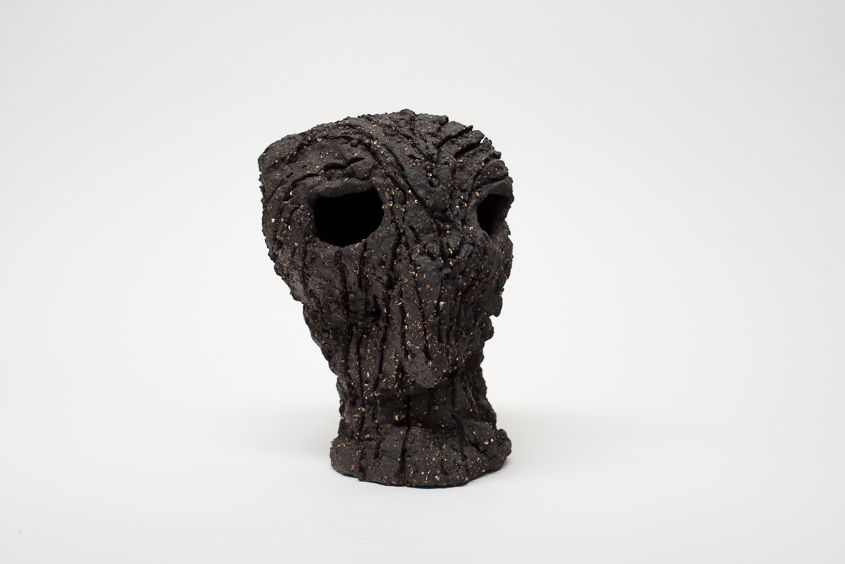 Locust Jones, Self Report 21, 2016