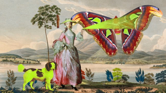 Joan Ross, Touching other people’s butterflies, 2013