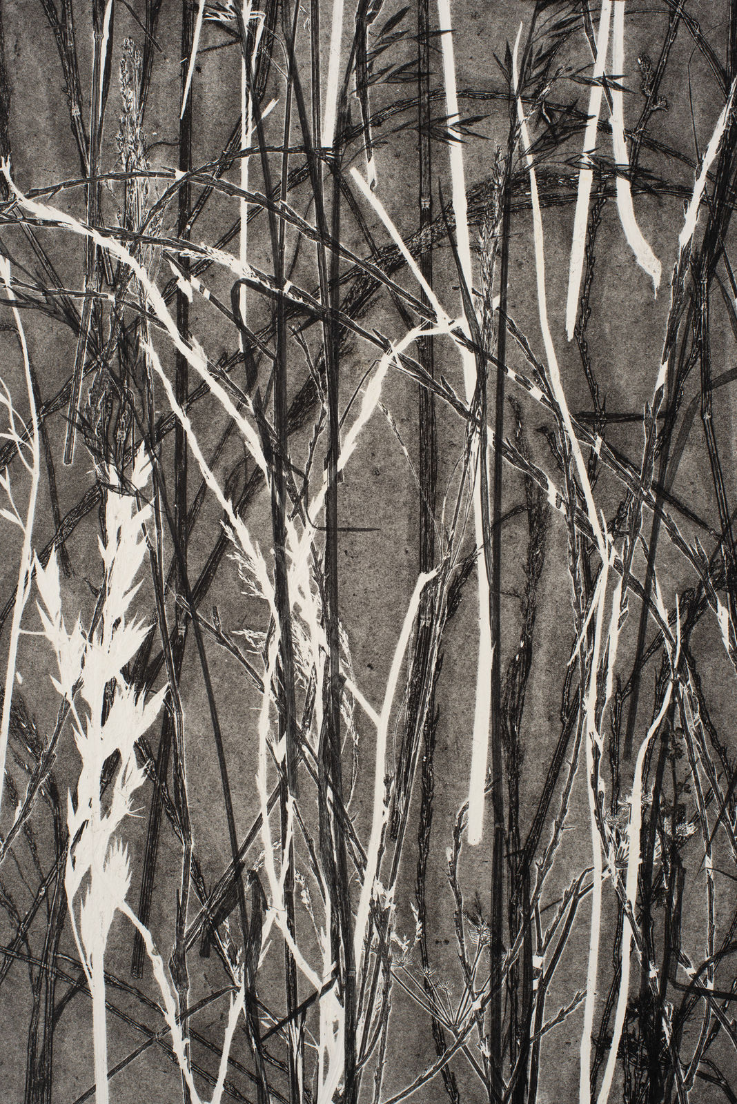 Frances Malcomson, Entangling 1, 2024