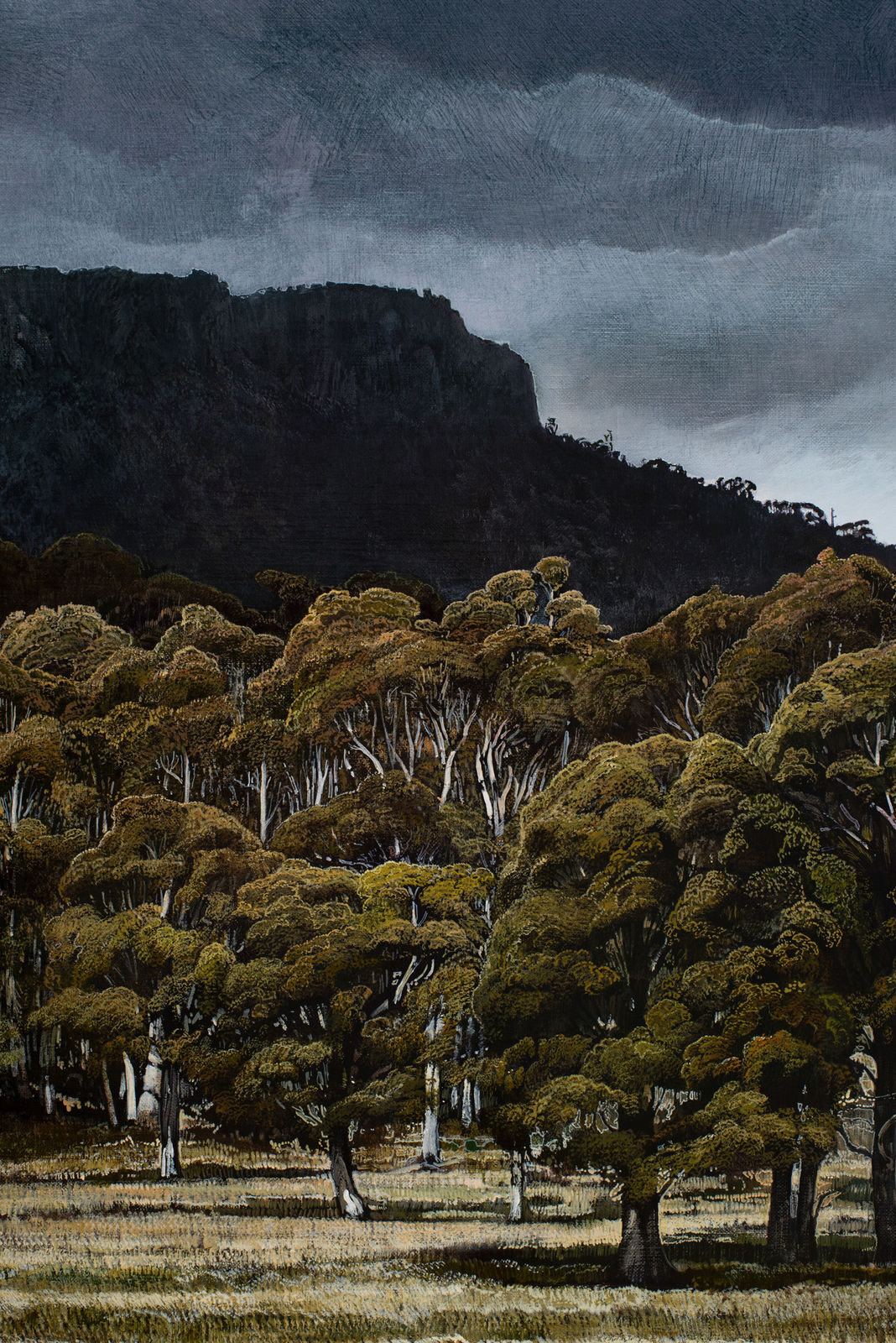 Stephanie Tabram, Passing Storm, 2022