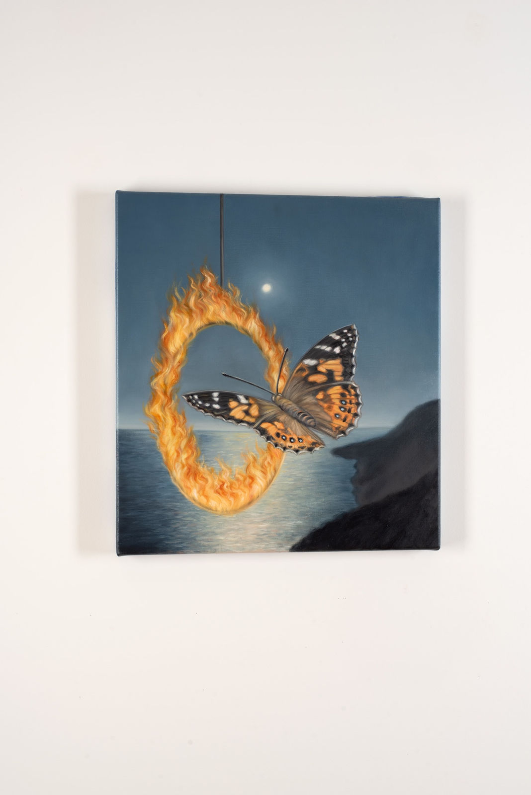 Amber Koroluk-Stephenson, Escape Artist, portrait of an Australian Painted Lady, 2023 - 2024