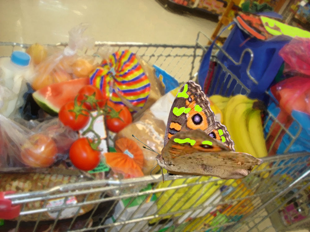 Joan Ross, Shopping with butterfly, 2013