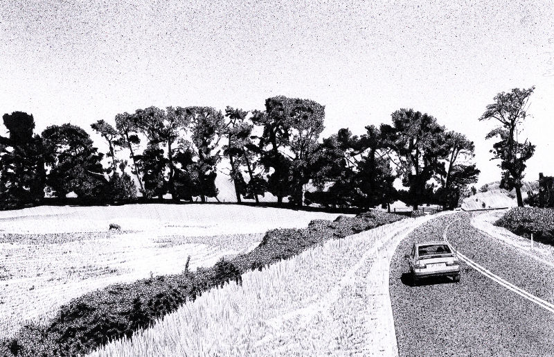 Matt Coyle, Getting into the bush, 1999