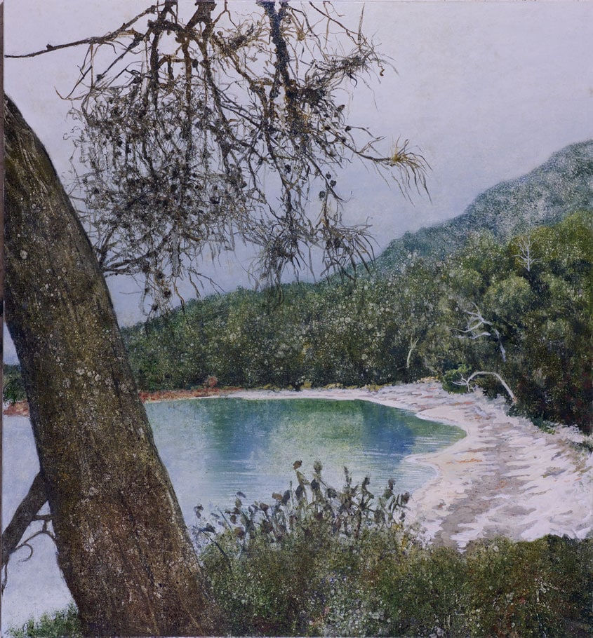 Thornton Walker, Cove, Freycinet, 2015