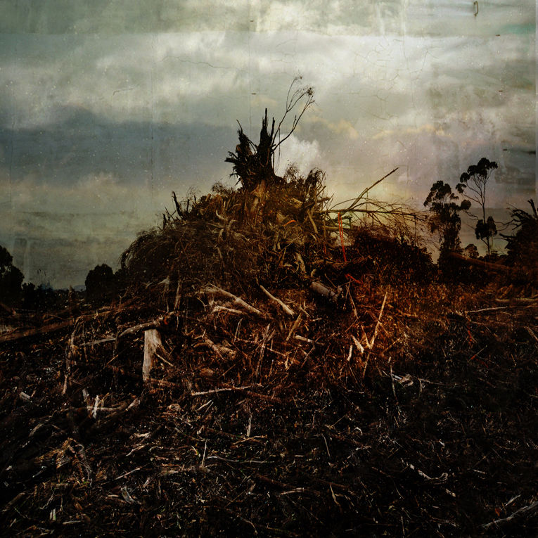 Troy Ruffels, Pyre, 2011