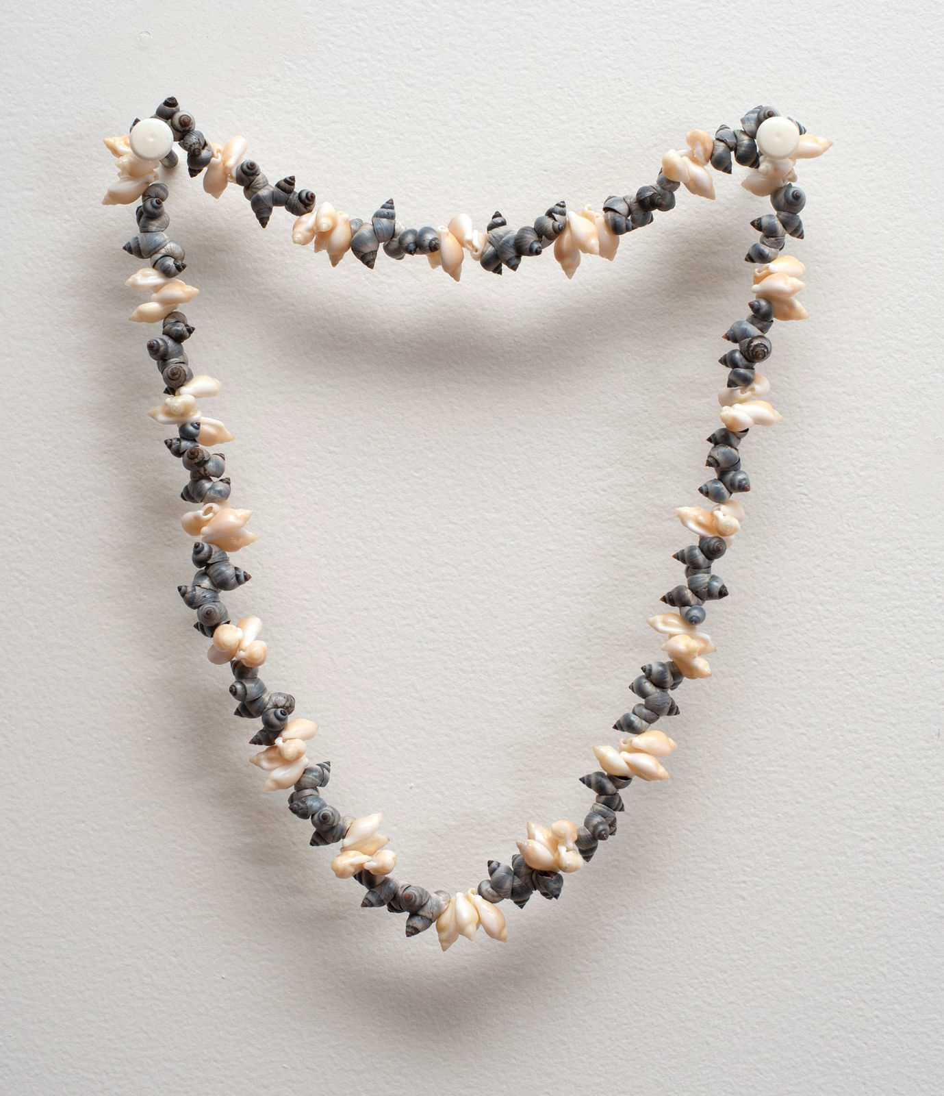 Annette Day, Beautiful birds, 2022