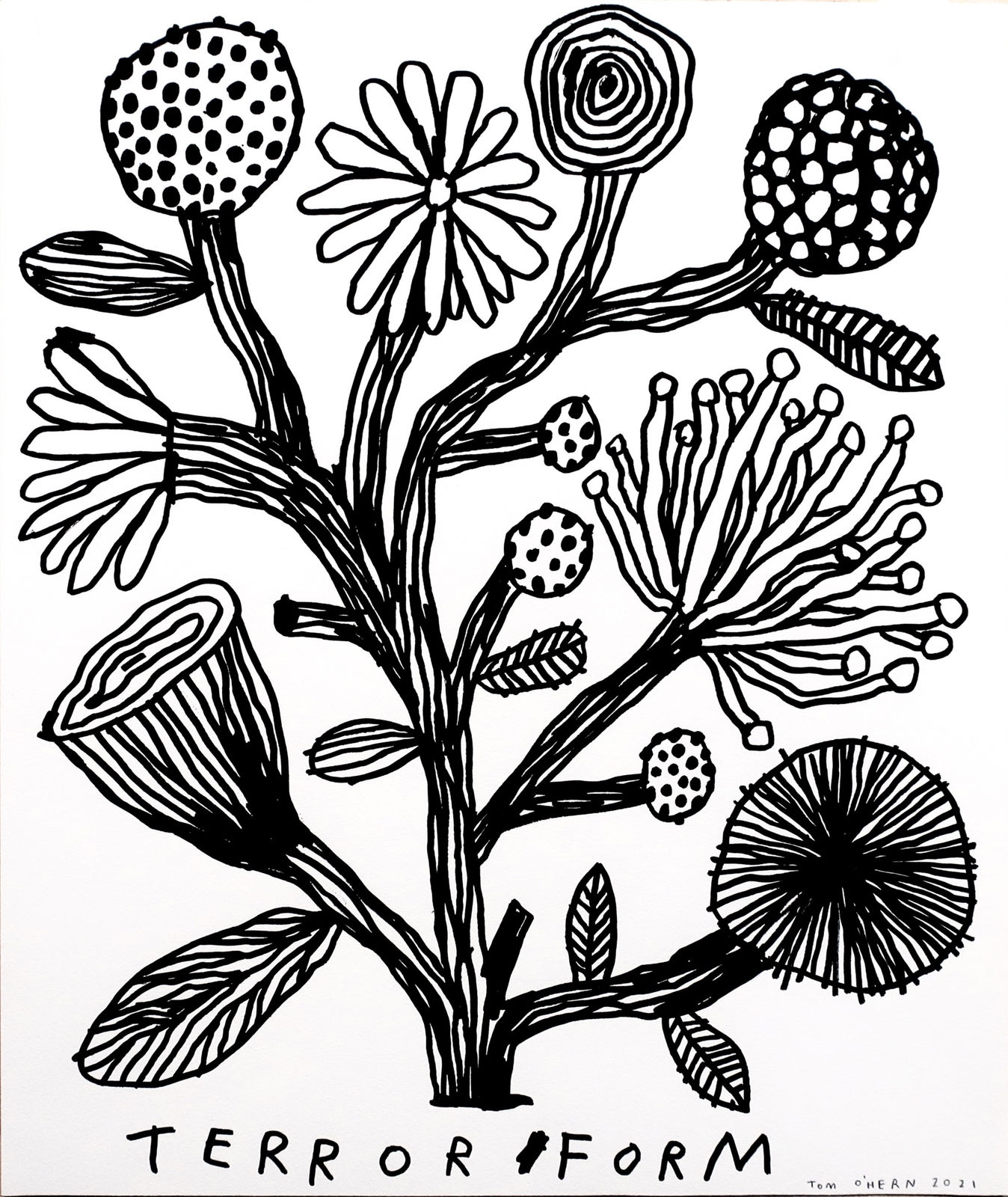 Tom O'Hern, Terror Form, 2021