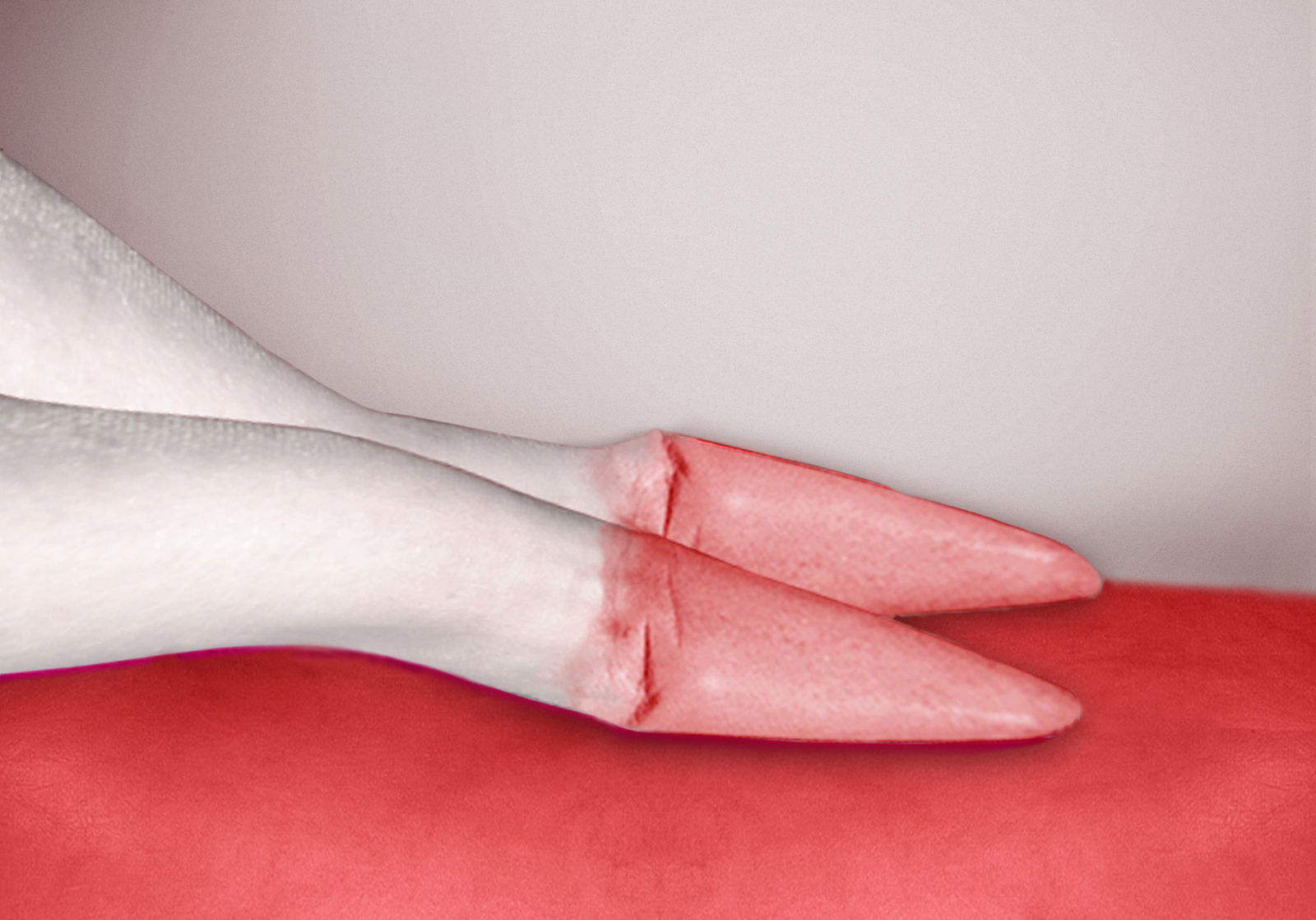 Pat Brassington, Rules of Engagement, 2017