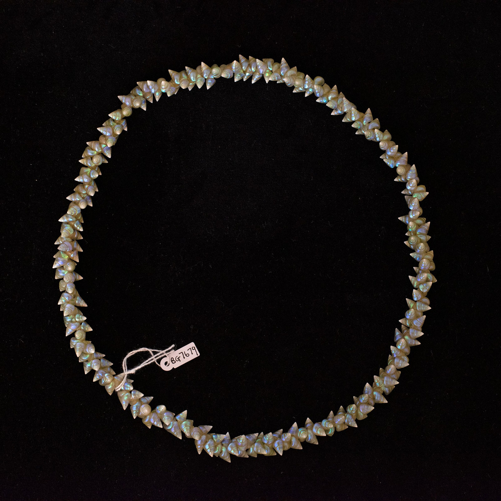 Aunty Jeanette James, Palawa shell necklace, 2020