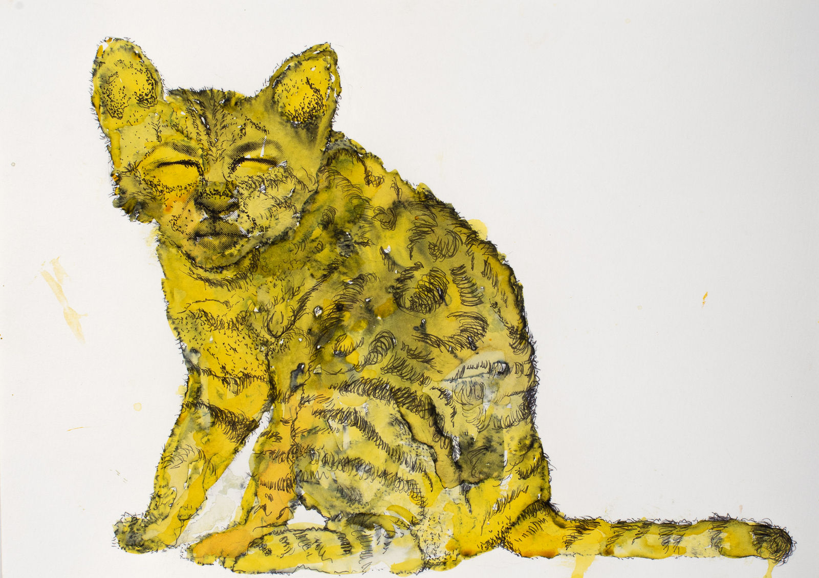 Sally Rees, Self Portrait as a Pisscat, 2019