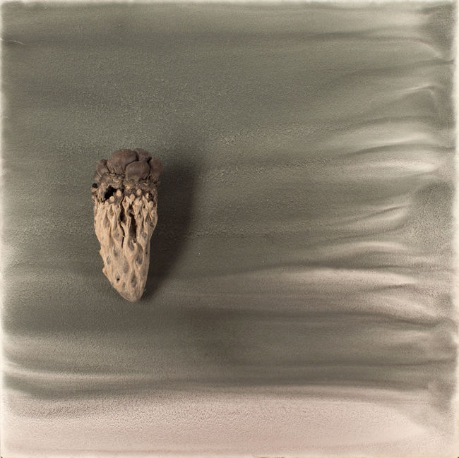 Sara Maher, In relation 2 (kernel), 2016