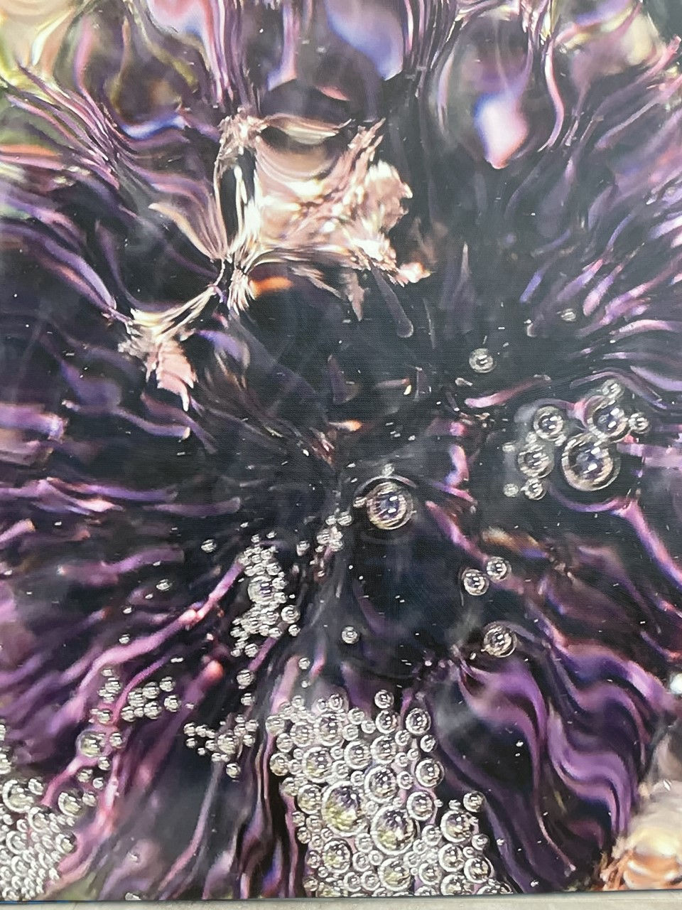 Andrea Leavitt, Kaleidoscope III: Tide Pool With Sea Urchin