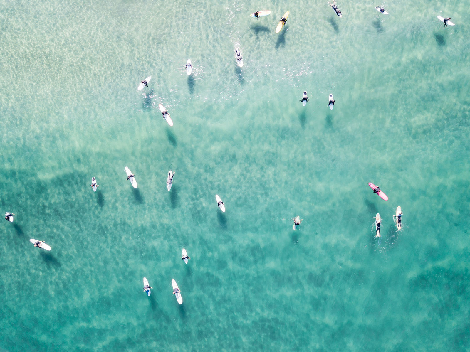 Robin Ward, Above the Sea: Savoring Summer