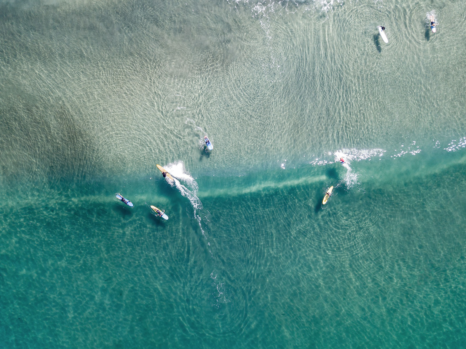 Robin Ward, Above the Sea: Wavelength