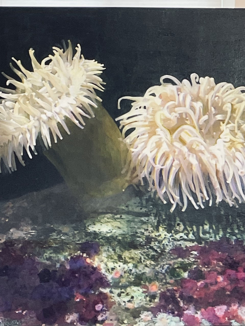 Andrea Leavitt, Garden Under the Sea