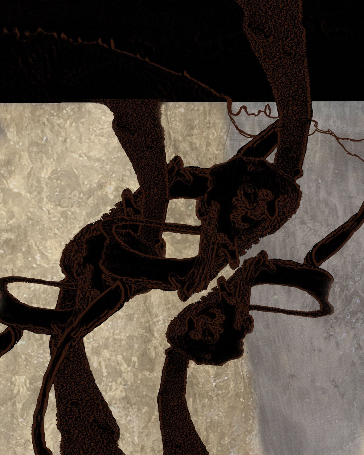 Mark Graver RE, Matauri Bay