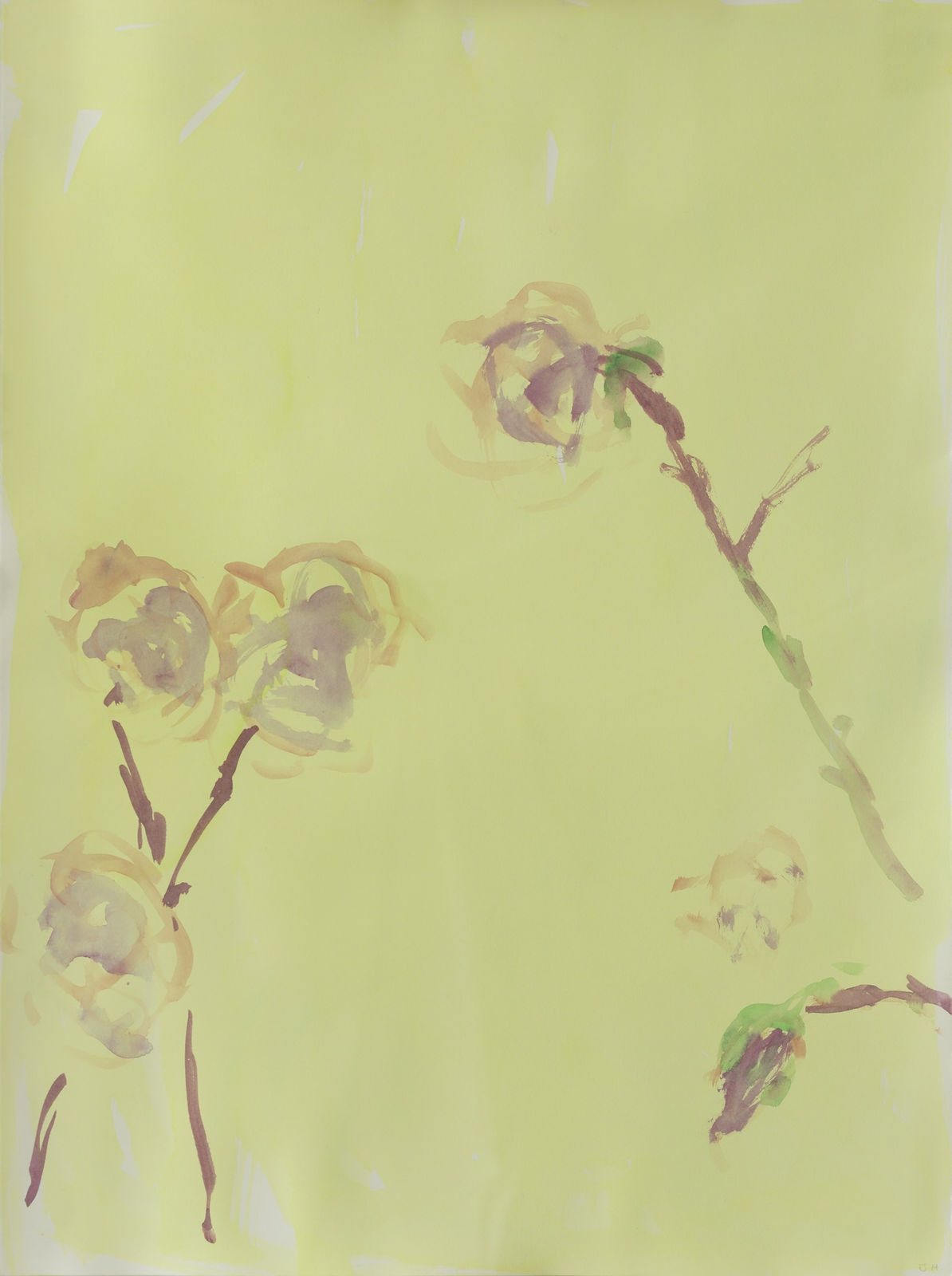 Julie Held RWS, Rose