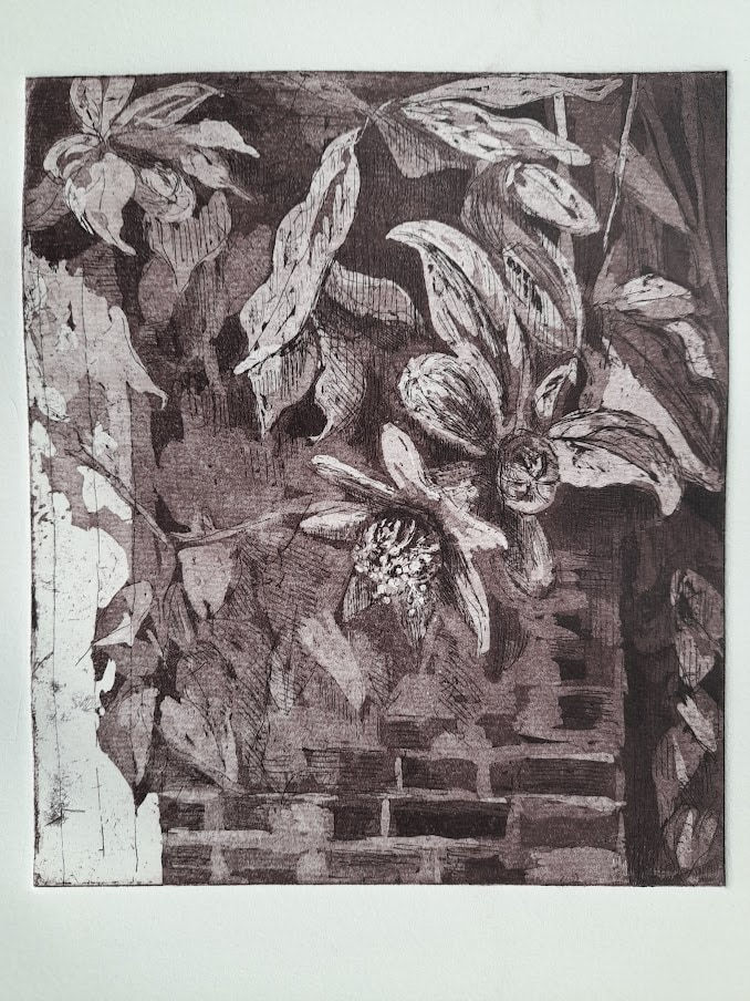 Hilary Daltry RE, Pomegranate Flower, Swan Walk