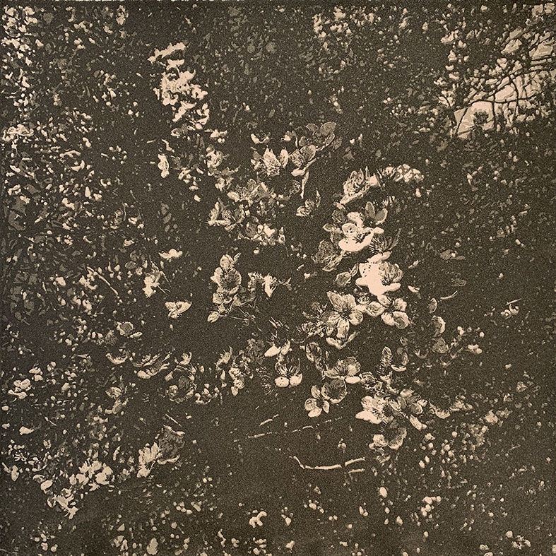 Wai Wong ARE, Blossom