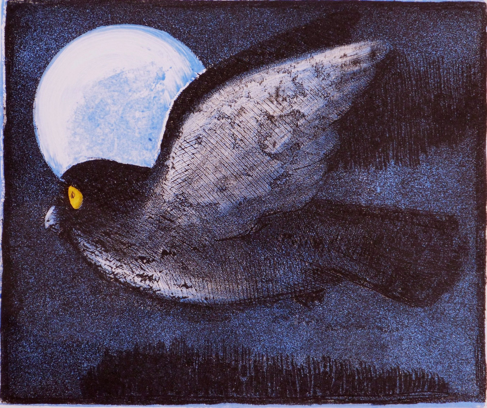 Frans Wesselman RE, Night Bird