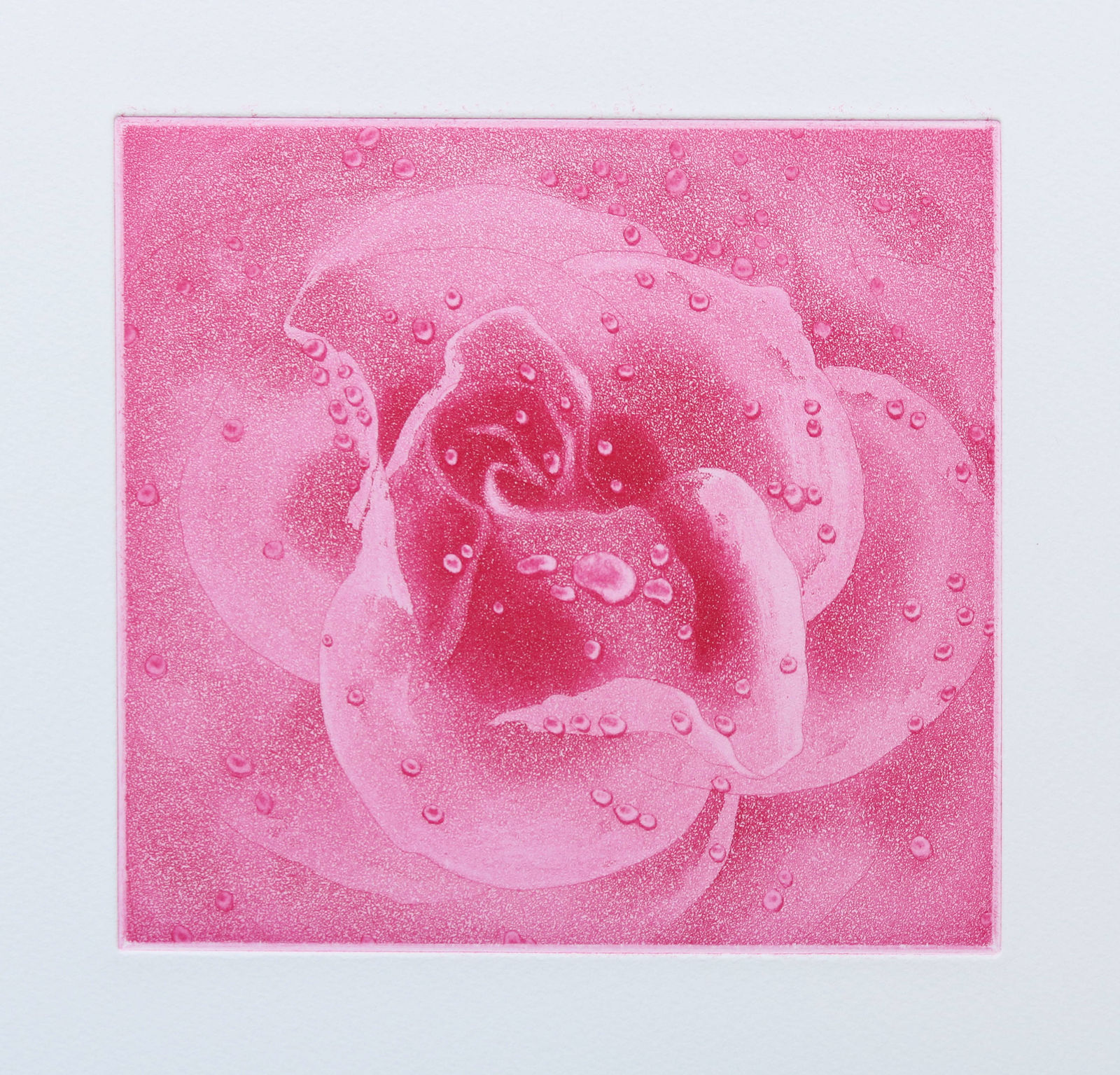 Emiko Aida RE, Secret Of Pink Rose