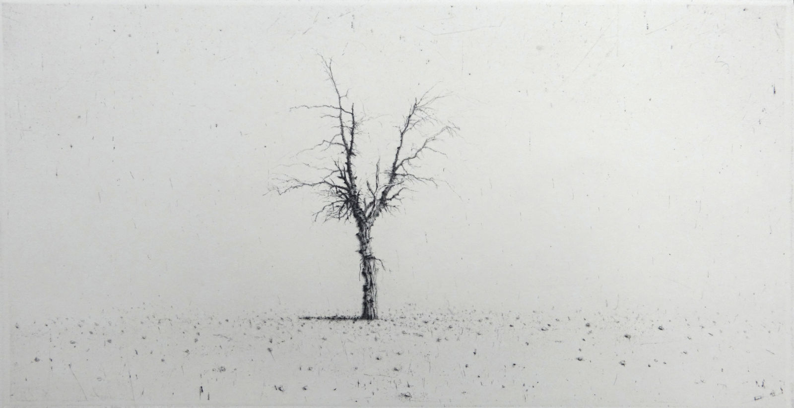 Lars Nyberg RE, Solitude