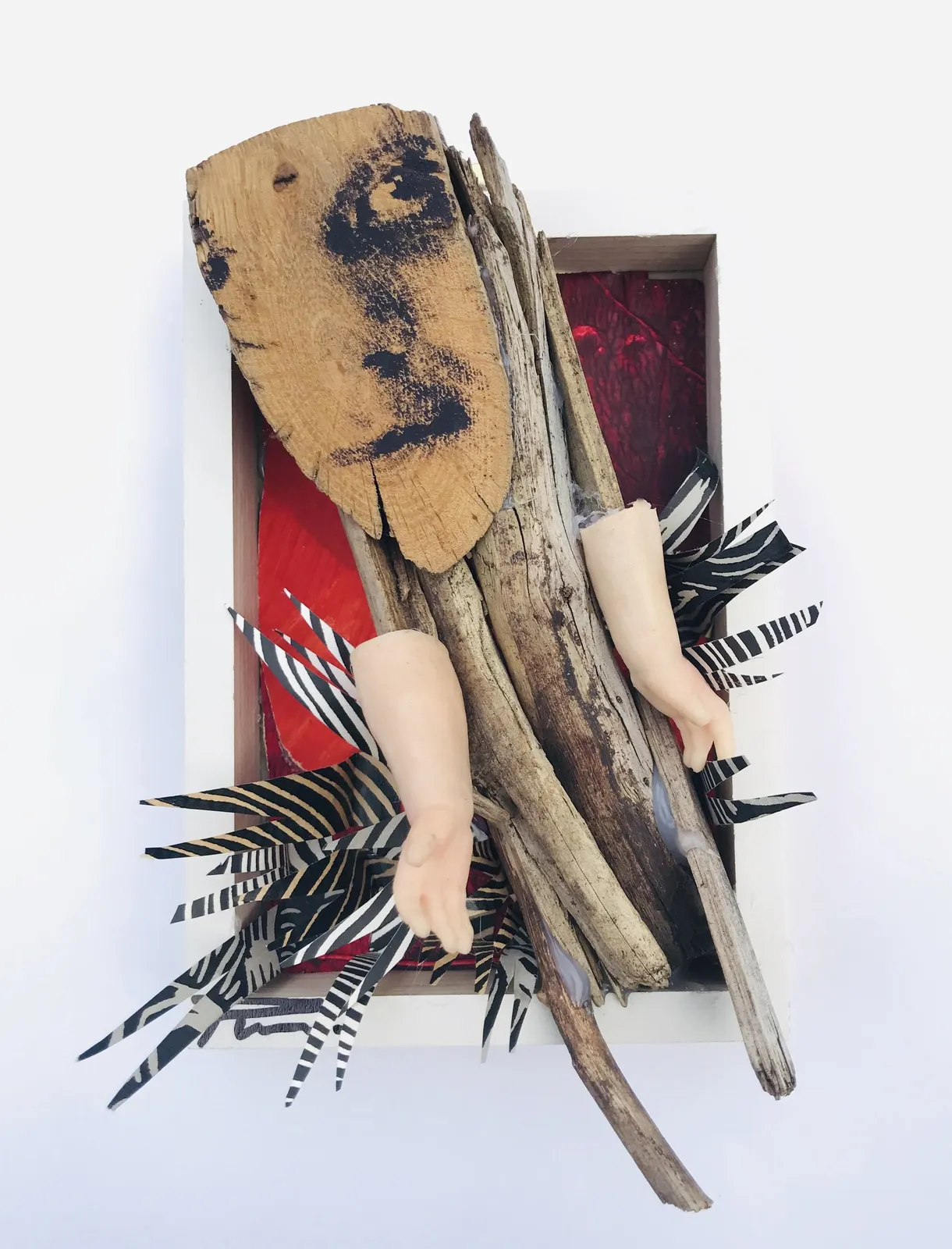 Pilar Muñoz RE, Rebellion