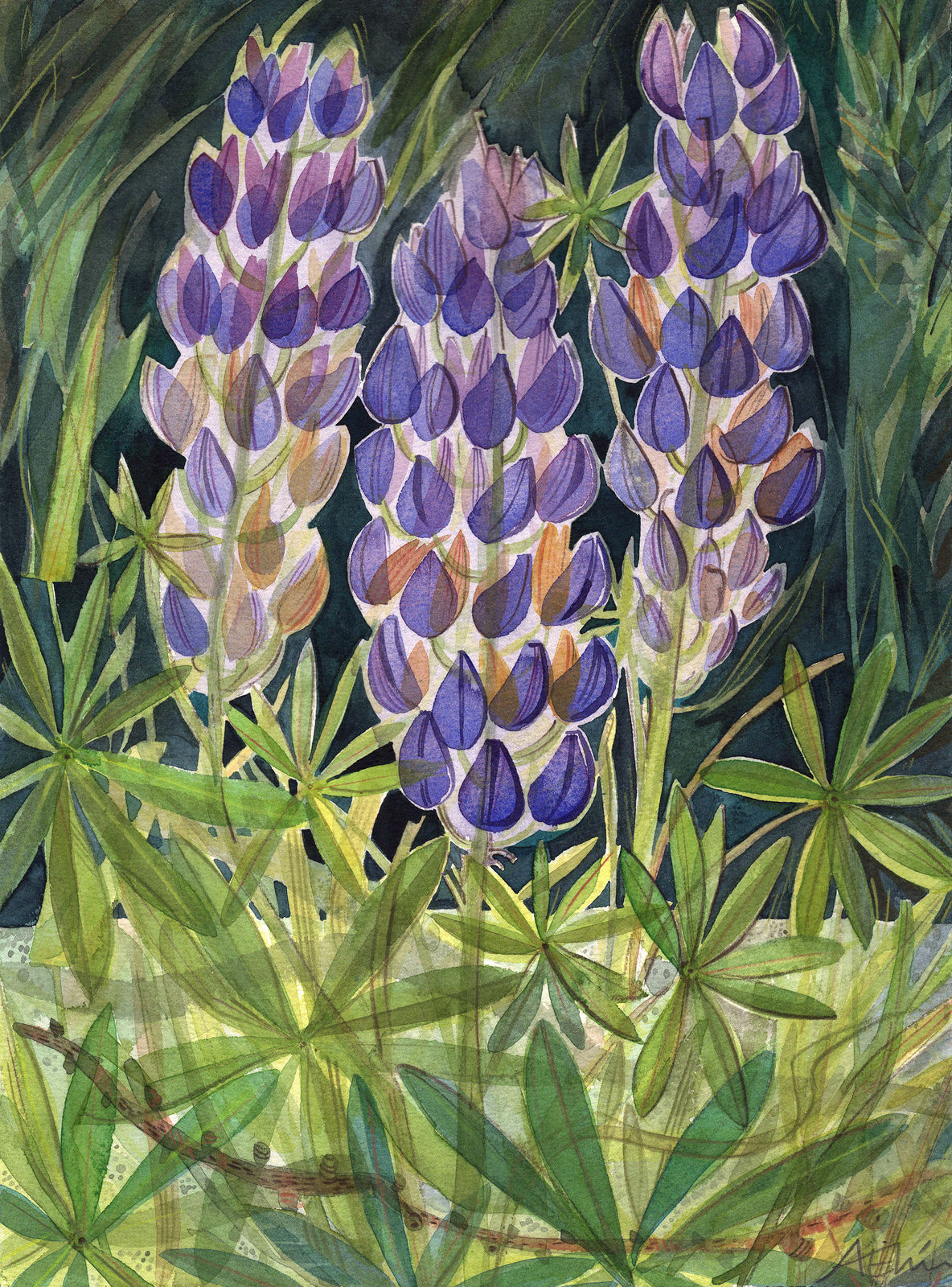 Angie Lewin RWS RE, River Bank Lupins