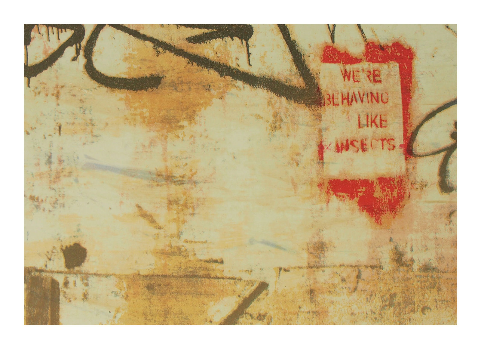 Janet Brooke RE, We're Behaving Like Insects